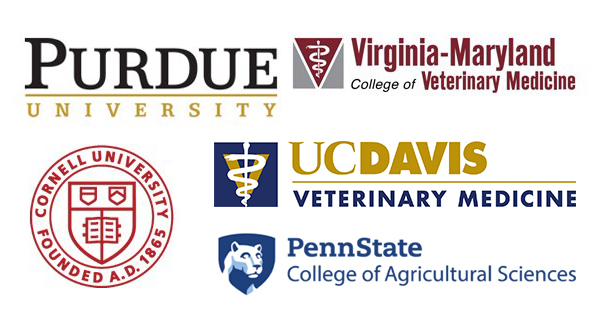 Pre-Veterinary Medicine | Roanoke College